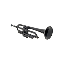 P Trumpet by Warwick